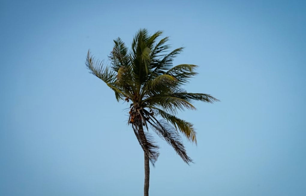 Windy Reprieve: Las Vegas Cools Slightly Before Labor Day Storm Threat