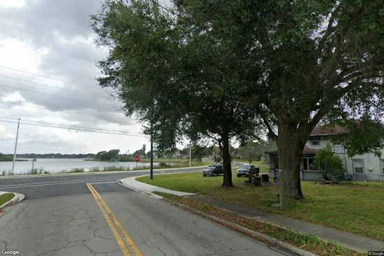 Winter Haven Detective Saves Baby Raccoon From Burning Tree on Avenue A