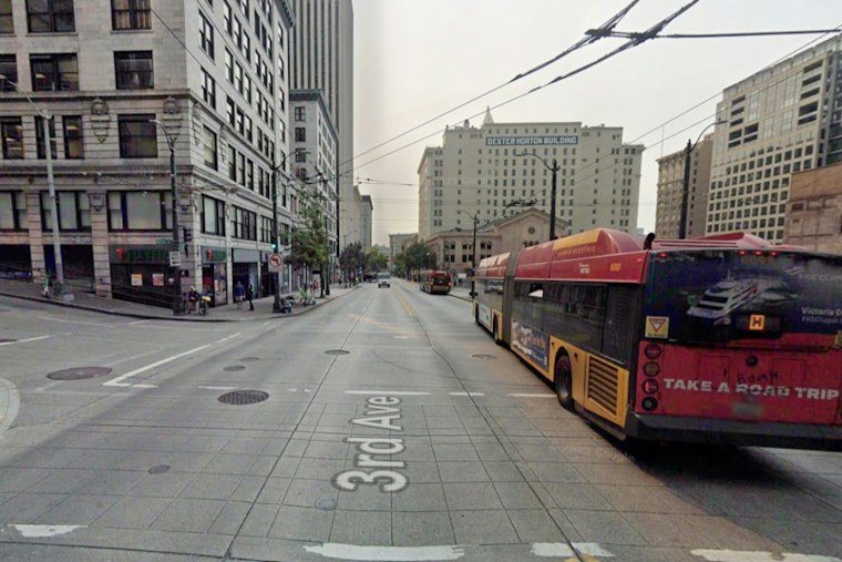 Woman Bitten in Face During Downtown Seattle Attack Faces Surgery, Permanent Scars