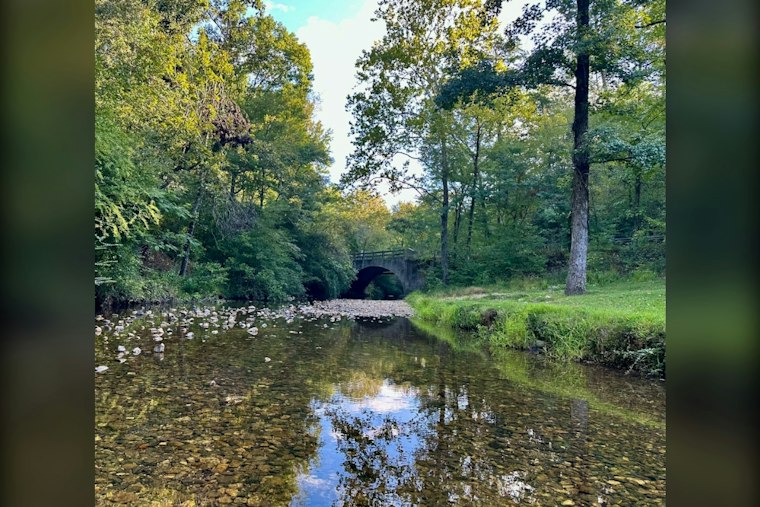 Woman, Dog Pulled From Neck-Deep Fountain Creek Culvert Near Stratmoor Valley
