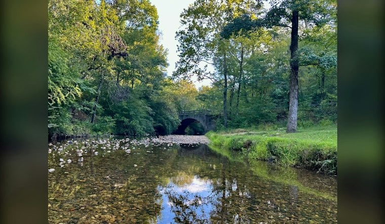 Woman, Dog Pulled From Neck-Deep Fountain Creek Culvert Near Stratmoor Valley