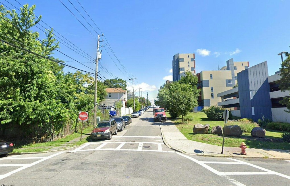 Yonkers Man Faces Felony Charge in Dog-Death Case
