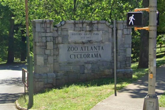 Zoo Atlanta Mourns 50-Year-Old Gorilla Machi as Lulu's Pregnancy Offers New Hope