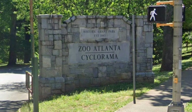 Zoo Atlanta Mourns 50-Year-Old Gorilla Machi as Lulu's Pregnancy Offers New Hope