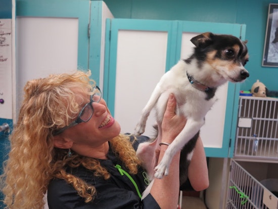 Meet Kate Crawford Of Fulton Street's Kate's Cat & Dog Salon