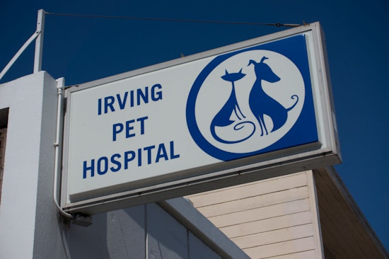 Getting To Know The Irving Pet Hospital