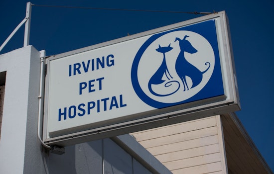 Getting To Know The Irving Pet Hospital
