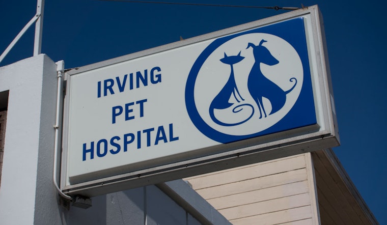 Getting To Know The Irving Pet Hospital