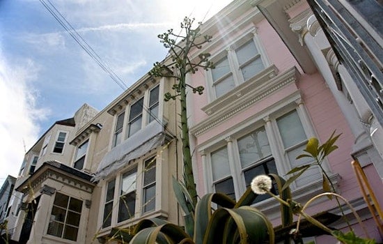 Giant Agave Plant Puts On A Show Near Judah & 12th Avenue