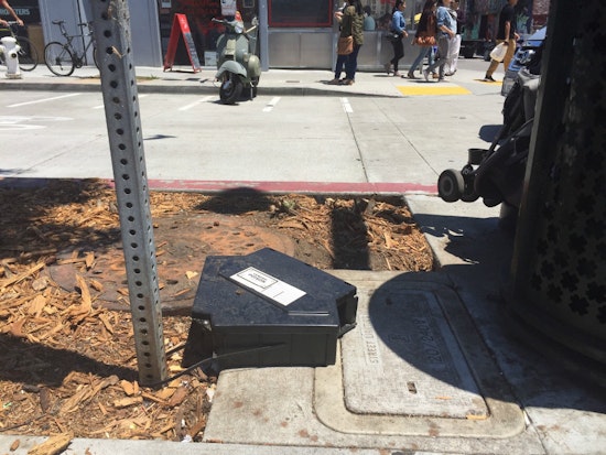 Photo: Rat Traps Installed In Patricia's Green
