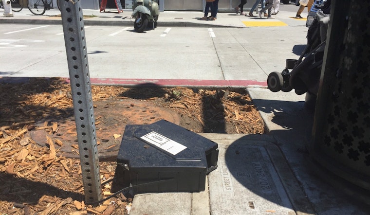 Photo: Rat Traps Installed In Patricia's Green