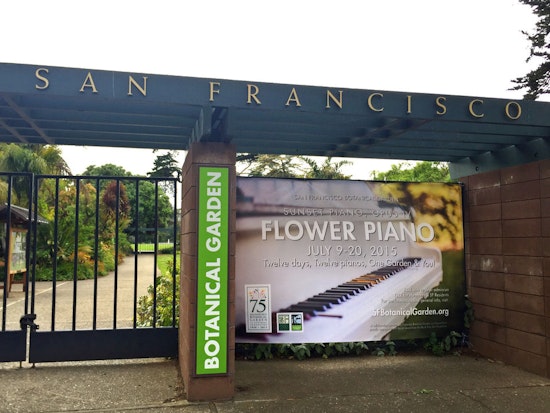 'Flower Piano' Exhibit Brings 12 Playable Pianos To Golden Gate Park Botanical Garden