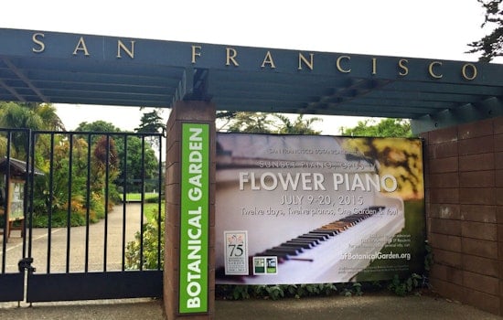 'Flower Piano' Exhibit Brings 12 Playable Pianos To Golden Gate Park Botanical Garden