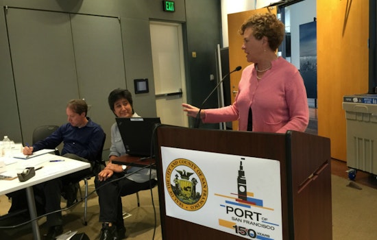 Affordable Housing, Pier 29 Discussed At NEWAG Meeting