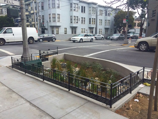 Checking In On Fell And Oak Streets' Rain Gardens