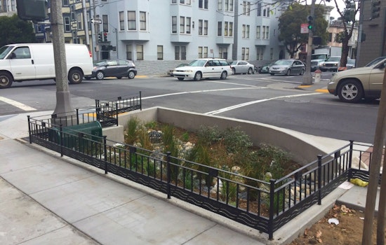 Checking In On Fell And Oak Streets' Rain Gardens