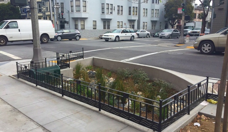 Checking In On Fell And Oak Streets' Rain Gardens
