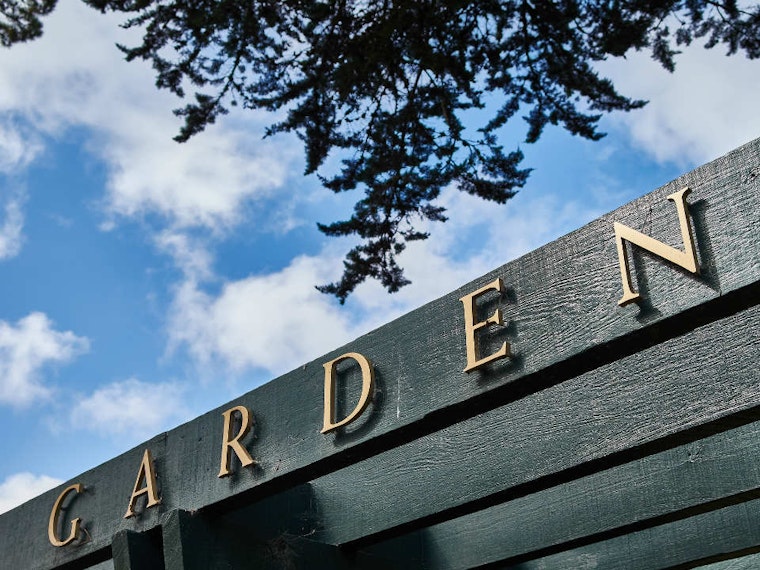 Upper Haight Weekend Odds & Ends: Car Theft, Traffic Enforcement, Live Music And More