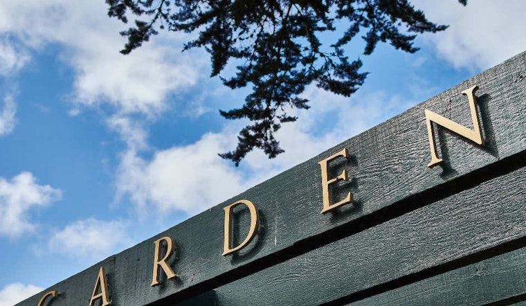 Upper Haight Weekend Odds & Ends: Car Theft, Traffic Enforcement, Live Music And More