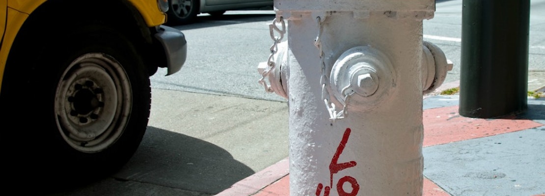 Upcoming Political Events Put Divisadero On The Campaign Trail