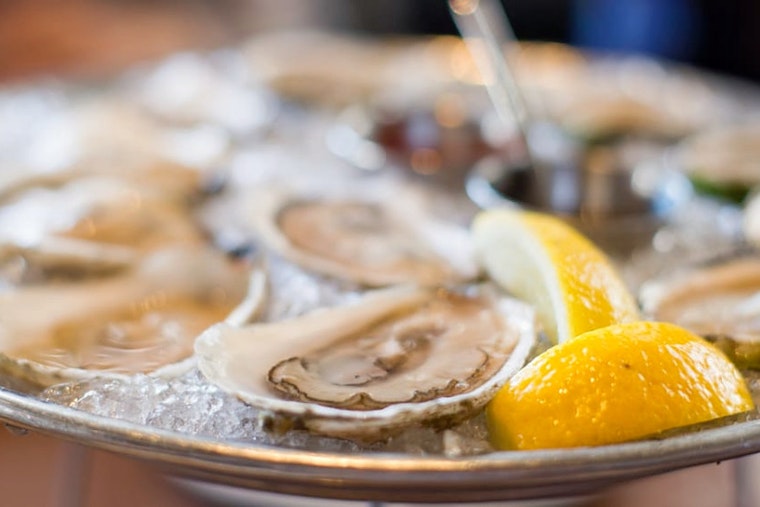 Hungry for seafood? Check out Boston's top 6 spots