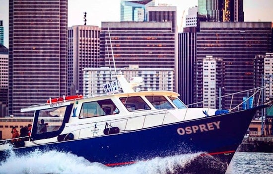 Tideline Water Taxi Surveying Commuters Who Cross The Bay