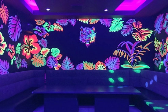 Blacklight Lounge debuts in Spring Branch
