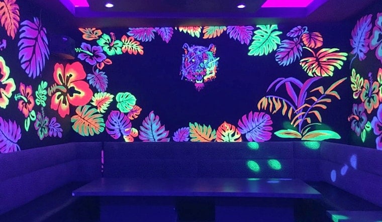 Blacklight Lounge debuts in Spring Branch