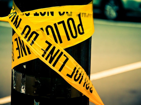 Bulletin: Police Shoot And Injure Dog At Hyde & Fulton