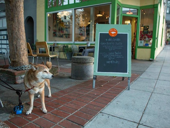 Neighbors Report Series Of Brazen Laptop Thefts From Local Cafes