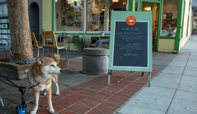 Neighbors Report Series Of Brazen Laptop Thefts From Local Cafes