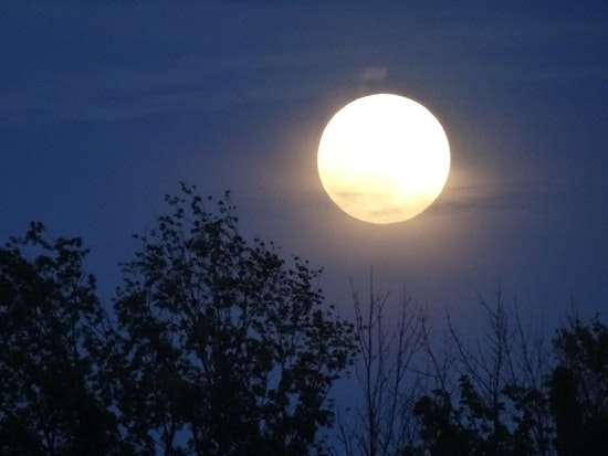 Inner Sunset Weekend: Blue Moon Walk, McSweeney's Bash, Vintage Paper Fair And More