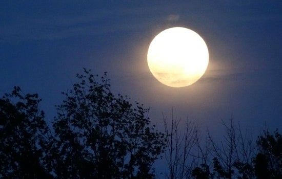 Inner Sunset Weekend: Blue Moon Walk, McSweeney's Bash, Vintage Paper Fair And More