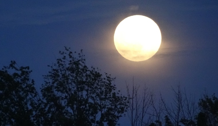 Inner Sunset Weekend: Blue Moon Walk, McSweeney's Bash, Vintage Paper Fair And More