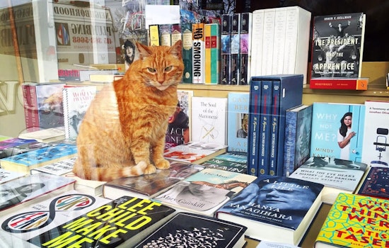 With building back on market, Aardvark Books faces final chapter