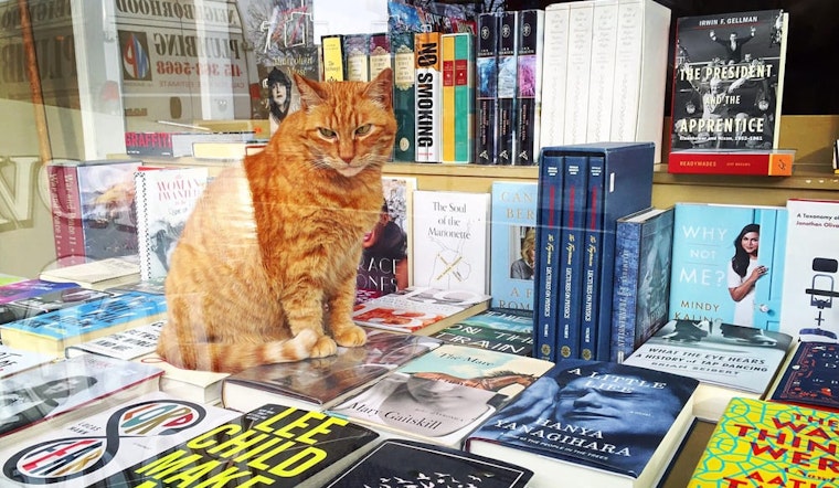 With building back on market, Aardvark Books faces final chapter