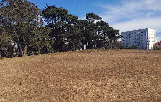 Renovations Could Close Alamo Square Park For First Half Of 2016