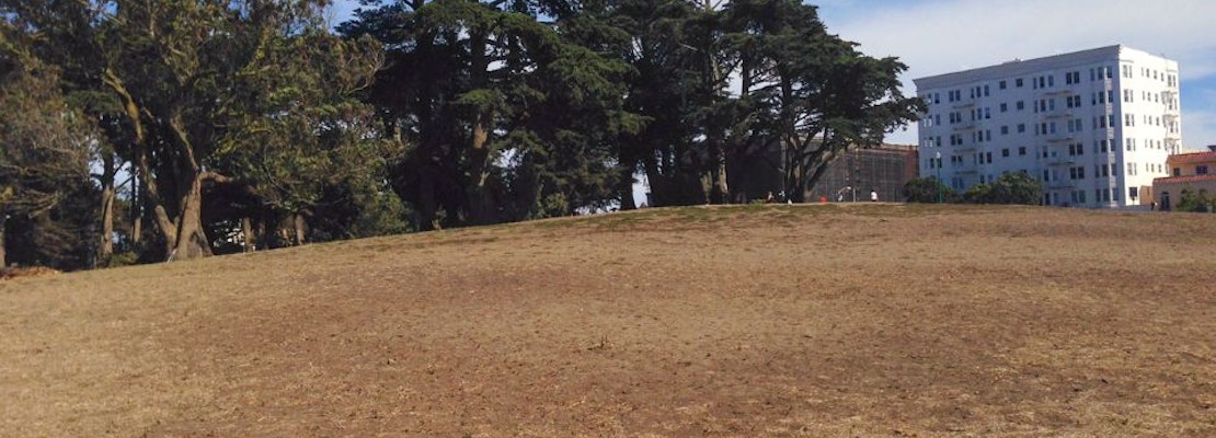 Renovations Could Close Alamo Square Park For First Half Of 2016
