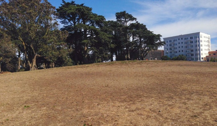 Renovations Could Close Alamo Square Park For First Half Of 2016