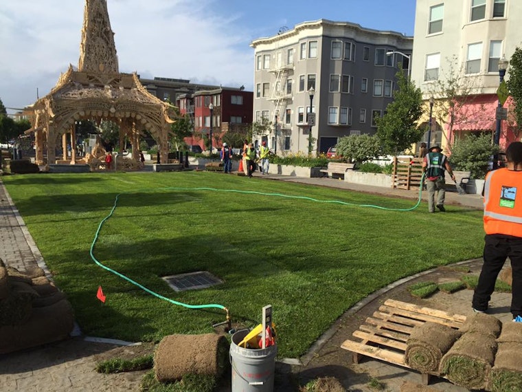 Photo: New Sod Installed In Patricia's Green