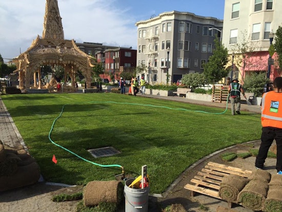 Photo: New Sod Installed In Patricia's Green