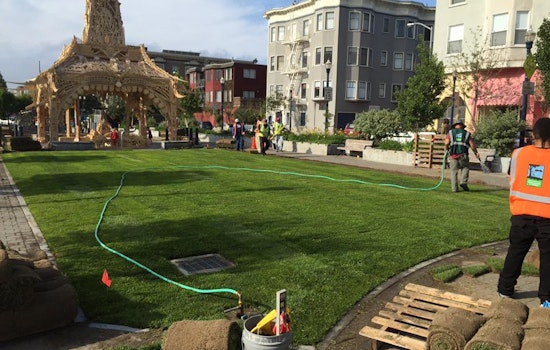 Photo: New Sod Installed In Patricia's Green