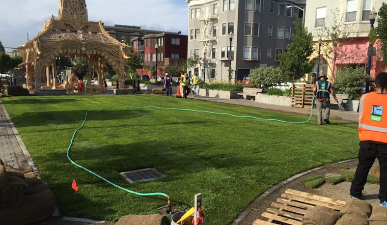 Photo: New Sod Installed In Patricia's Green