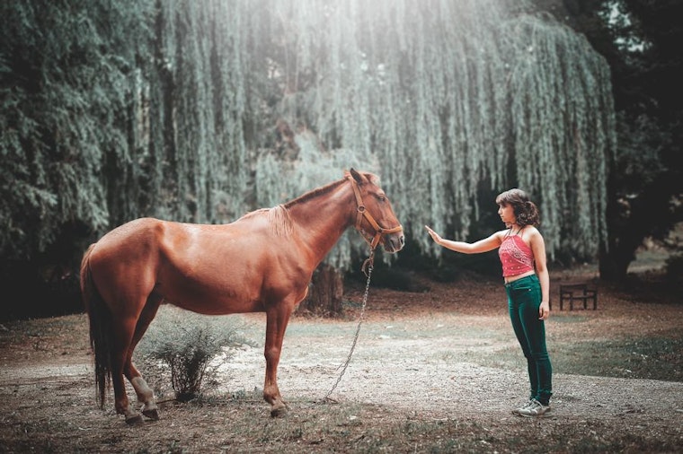 3 solid deals for active children in Houston