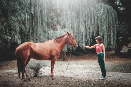 3 solid deals for active children in Houston