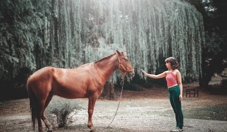 3 solid deals for active children in Houston