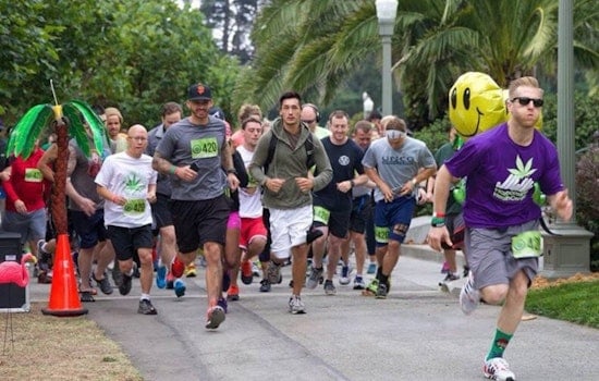 Inner Sunset Weekend: 420 Games, Teen Science Night, Vintage Baseball Championship