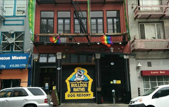 Bulldog Baths Dog Resort To Close, Reopen As Dog-Friendly Workspace