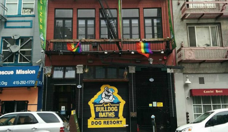 Bulldog Baths Dog Resort To Close, Reopen As Dog-Friendly Workspace