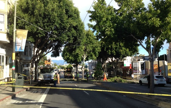 Columbus Avenue Closed This Morning Due To Fallen Tree